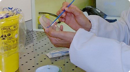 Laboratório